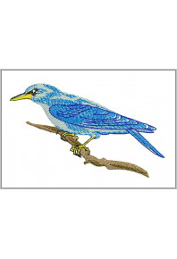 Pet005 - Blue bird